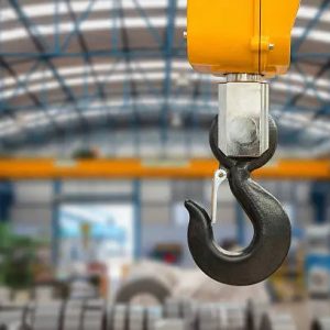 pengertian hoist crane